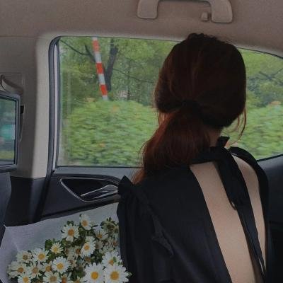 红蝎子之带泪梨花